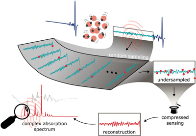 Visual summary of compressed sensing of field-resolved molecular fingerprints.