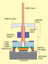 NECSEL schematic