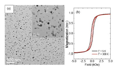 CoFe nanoparticles on substrates