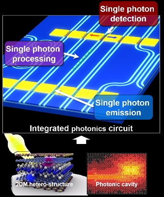 2D materials for quantum devices