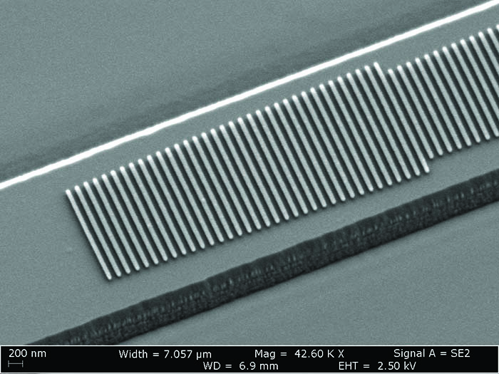 Scanning electron microscope (SEM) image of the fabricated device.