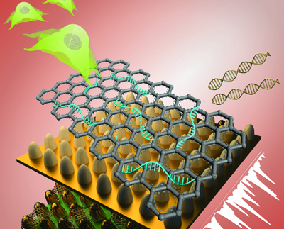 Biosensor consists of an array of ultrathin graphene layers and gold structures.