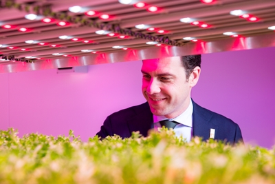 Growing in value: LEDs for horticulure