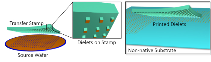 Schematic view of the micro-transfer print (µTP) process.