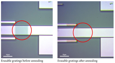 Now you see it... optical microscope images of erasable gratings. 
