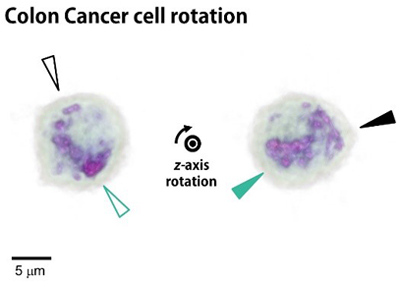 Research results: manipulation of cancer cells, blood cells and more.