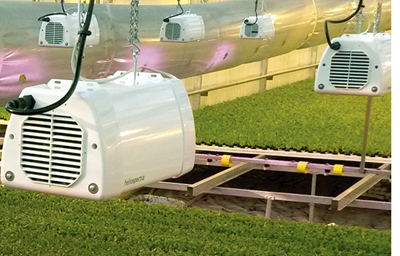 Heliospectra's LX60 reduces a user's carbon footprint while optimizing plant quality.