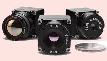 FLIR Systems: Thermal Vision's dutomotive development kit.