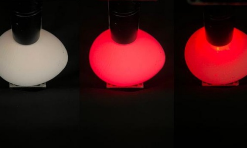 Laser-egg interaction shows potential for embryonic spectroscopy