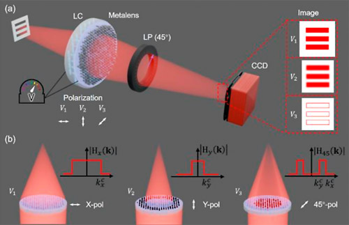 Two polarization channels create three imaging states. Credit:&nbsp;Opto-Electronic Science.