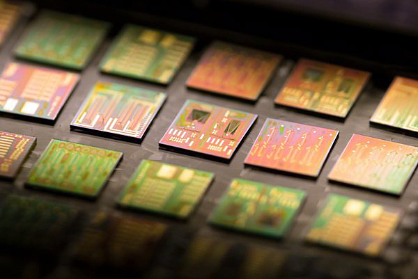 Photonic chips. Photo: Florian Lemaitre.