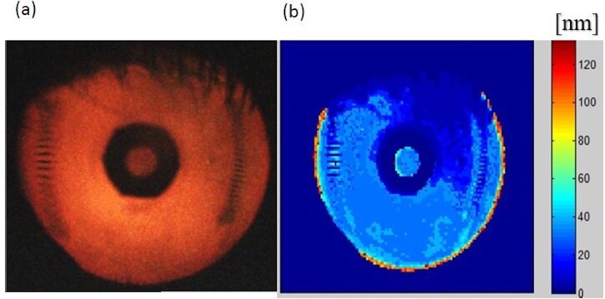 The Tear Film Imager captures a raw image (a) and generates a thickness map (b) derived from the color information at each pixel. This can be used to distinguish the tear film's inner layers. Credit: AdOM Advanced Optical Methods Ltd