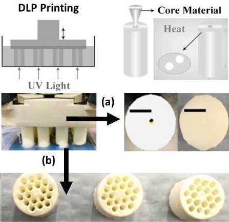 The Australia-based research team used a 3D printing method known as direct-light projection (DLP) to make silica fiber preforms. They fabricated preforms for a step index fiber, shown above.