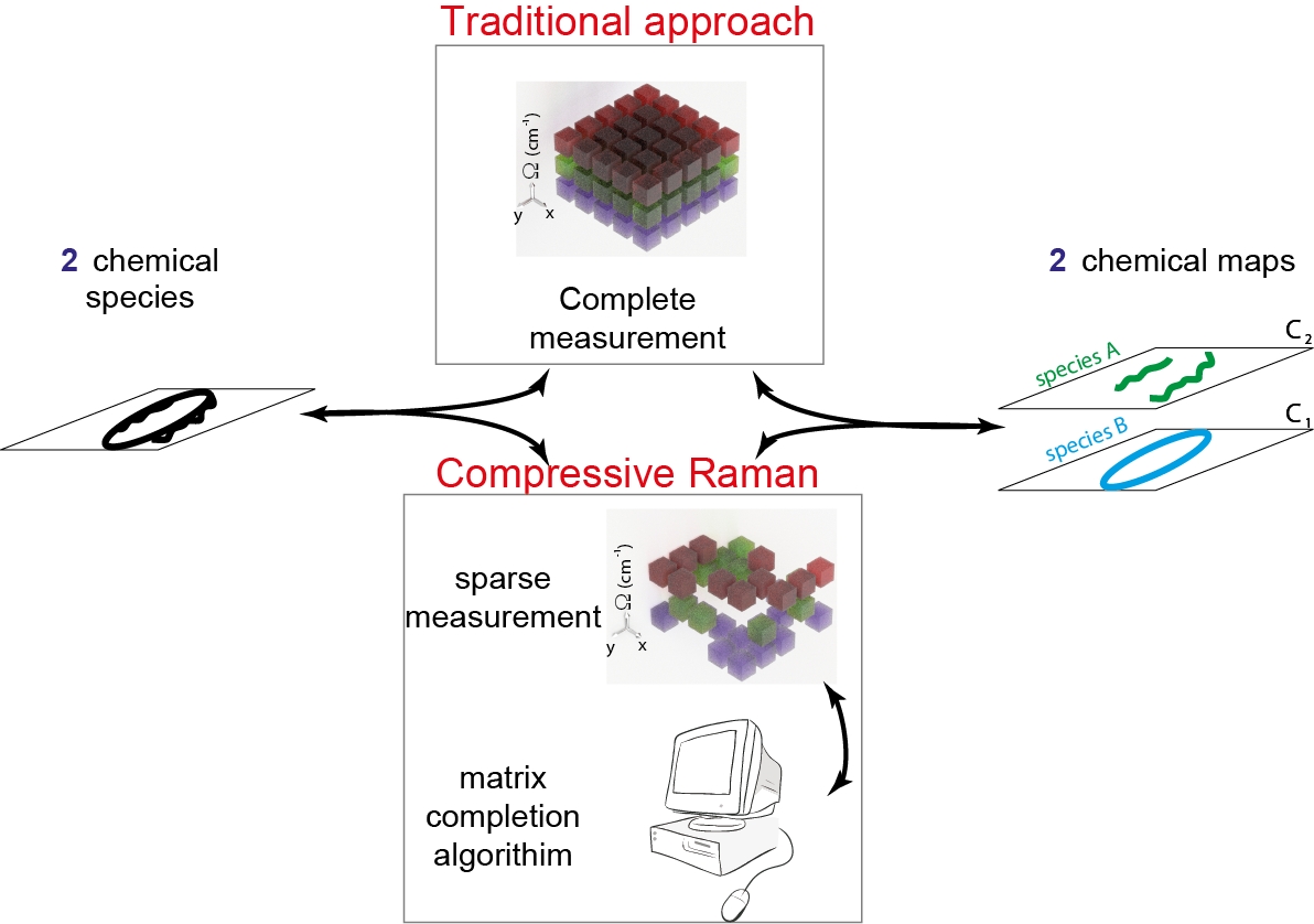 With the new compressive Raman approach, the researchers could acquire less spectral data than traditionally required and then use the matrix completion algorithm to fill in information not recorded. Credit: Hilton De Aguiar, &Eacute;cole Normale Sup&eacute;rieure.
