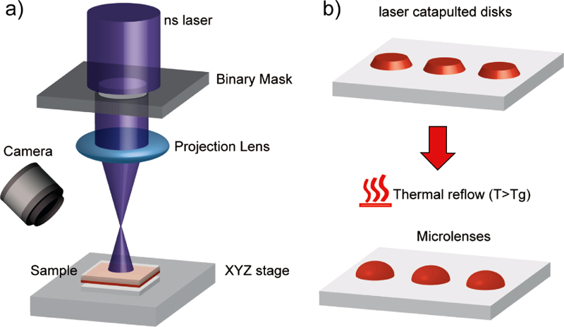 Practical implementation and operational principle of laser catapulting. a) Scheme of the experimental setup used for catapulting polymeric disks with a UV pulsed nanosecond laser. b) Working principle of the LCP process. First, polymeric disks are transferred onto a receiver substrate and second, microlenses are formed by thermal reflow, namely the heating of the polymer above its glass transition temperature (<strong><em>T</em></strong><strong><em>g</em></strong>). Source: IIT / Optical Materials Express.