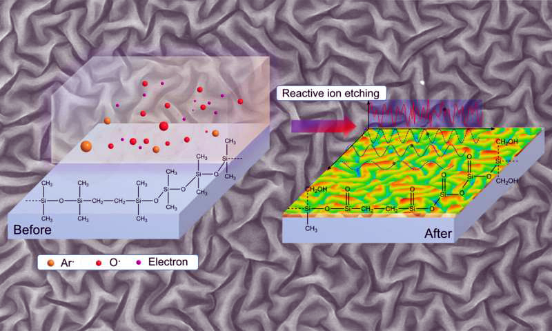 Principle of reactive ion etching for the generation of quasi-periodic nanostructures. Credit: Sebastian Reineke et al., Nature Communications.

