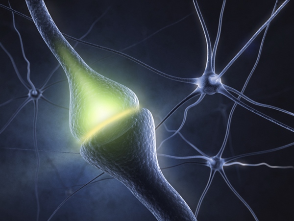 The work of the four awardees has been fundamental to advancing optogenetics, a technique that uses light to stimulate, inhibit, and control neuron activity in the brain. Image: Warren Alpert Foundation.