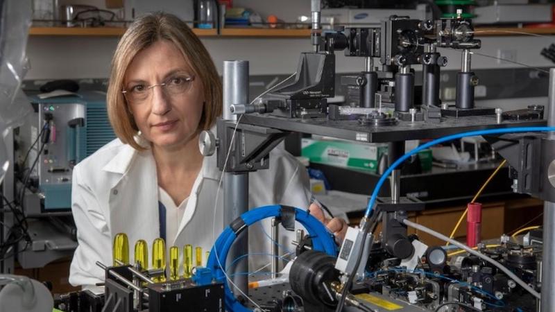 Laura Marcu of UC Davis, whose group is studying the potential impact of FLIM in cancer procedures. Credit: UC Davis.