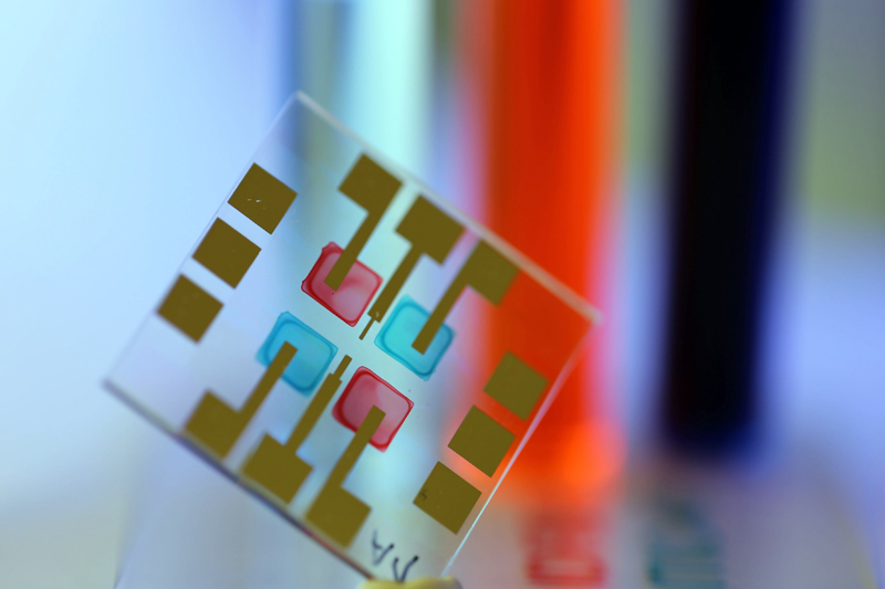 This is the KIT: Color-selective organic light sensors produced by inkjet printing with semiconducting inks. (Photo: Noah Strobel, KIT)
