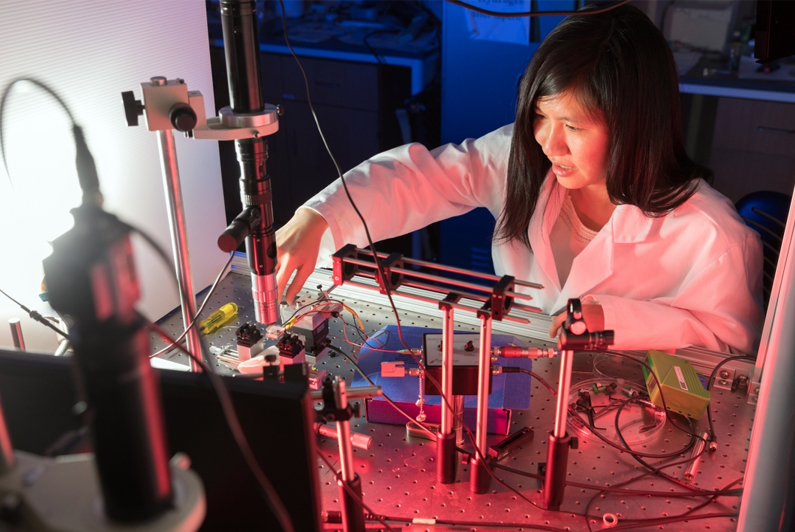Judith Su, a UA professor of biomedical engineering.