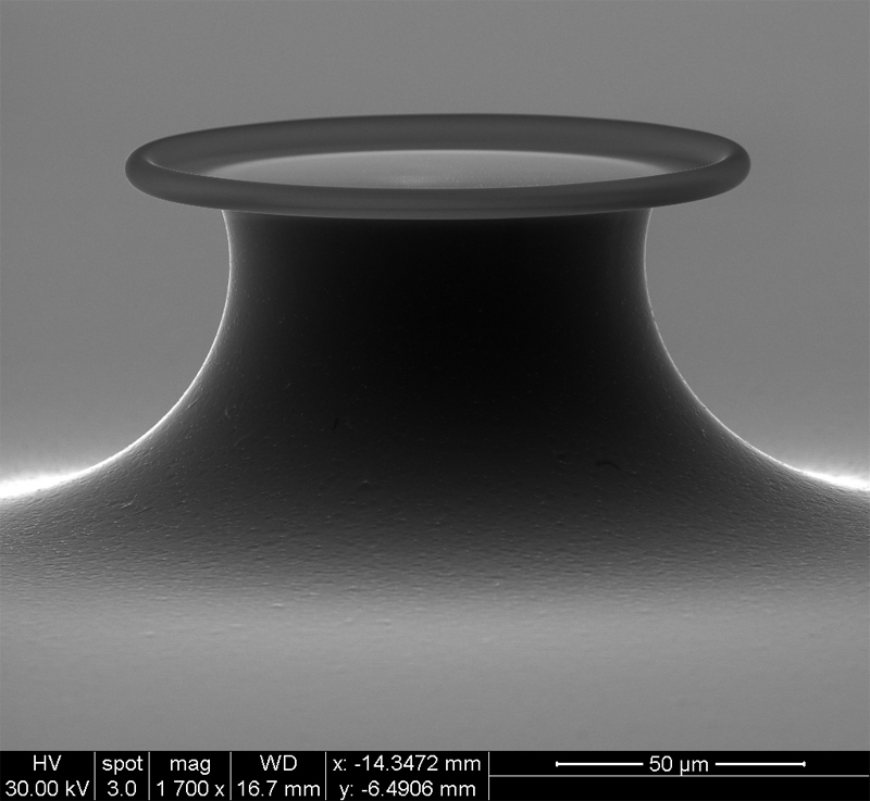SEM of the microtoroid.