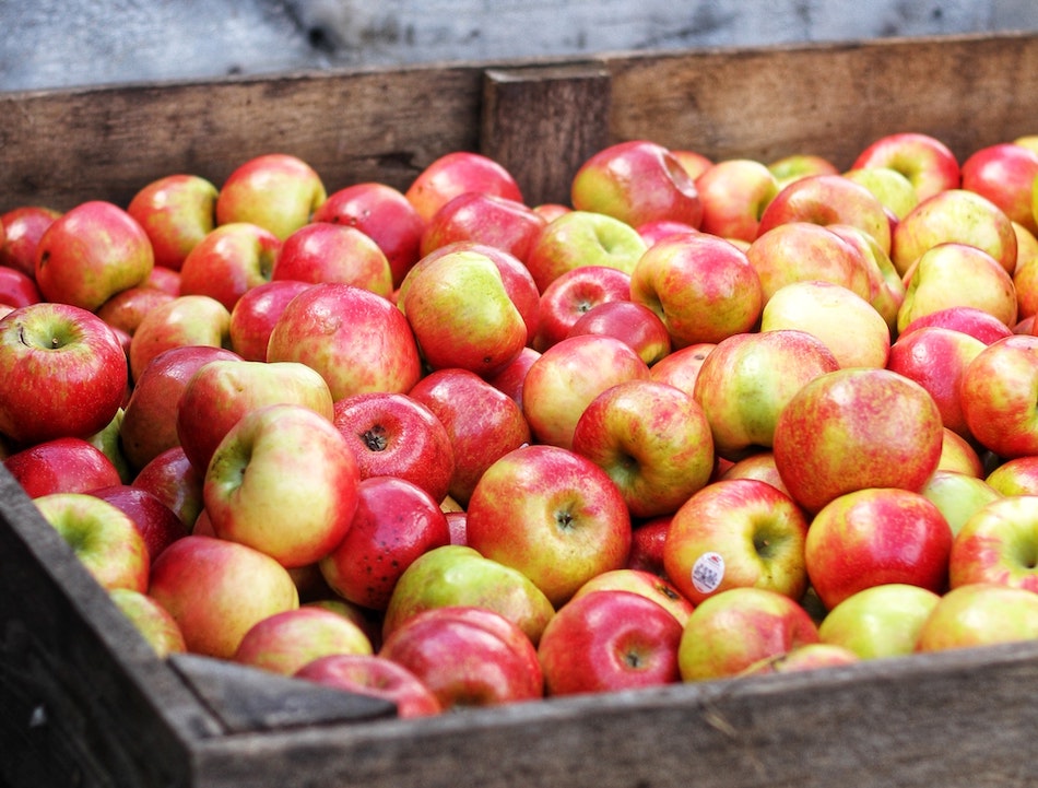Fruit stored in large quantities can lead to significant wastage. Credit: Pexels Stock Image.