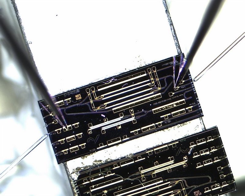 A close-up of the photonic integrated circuit used for the ammonia detector. The chip is roughly 2.6 square millimeters in size. Credit: Andreas H&auml;nsel/Aarhus University.