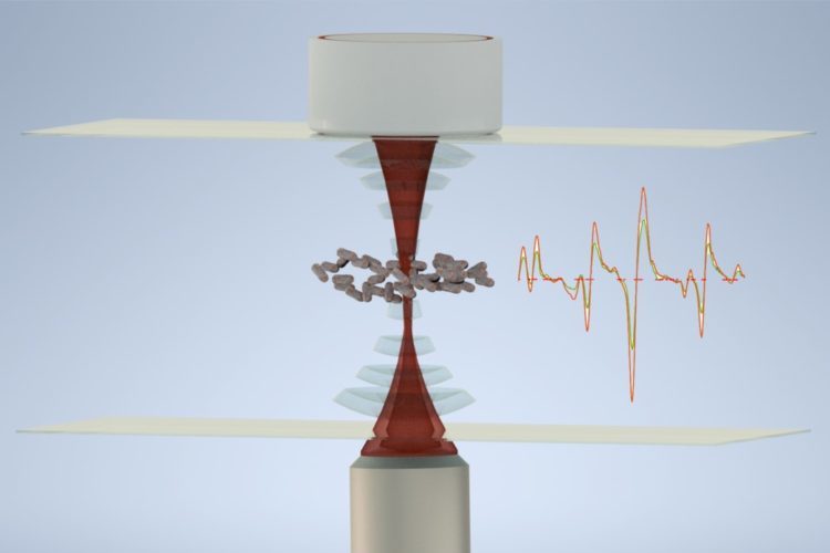 Representation of living bacteria acoustically confined at the center of a small chamber, while light scattering gives a Raman signal from the bacteria. Credit: University of St Andrews.