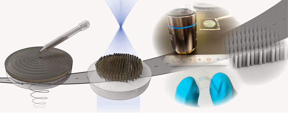 Ultra-thin and flexible metalenses could eventually replace traditional camera lenses. Credit: Daniel Andr&eacute;n and Yen Strandqvist/Chalmers University of Technology.