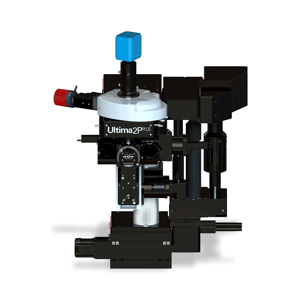Bruker's 'Ultima
