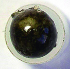 Laser-melted regolith forms a sphere. Photo: LZH/LUH/IRAS - HITec.
