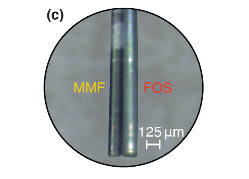 A new endoscope about the thickness of a human hair uses a multimode fiber (MMF) for fluorescence imaging and fiber optic sensor (FOS) for photoacoustic imaging. Credit: Emmanuel Bossy, CNRS/Universit&eacute; Grenobe Alpes Laboratoire Interdisciplinaire de Physique.