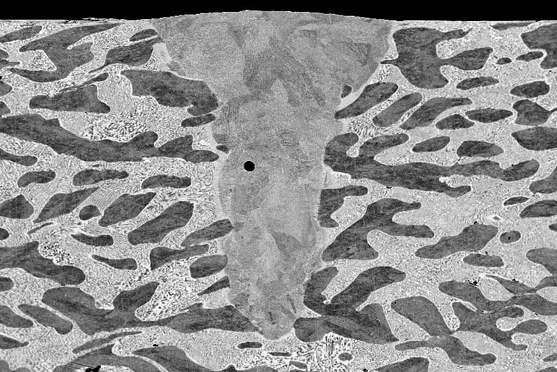 SEM image of a single laser scan cross-section of a nickel and zinc alloy. Dark, nickel-rich phases interleave lighter phases with uniform microstructure. A pore can also be observed in the melt pool structure. Credit: Raiyan Seede.