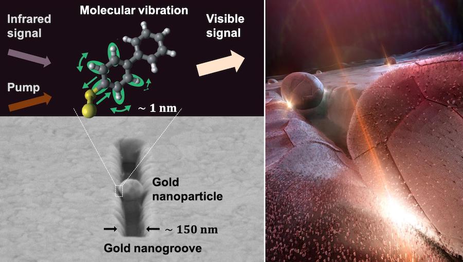 The infrared signal of interest and a pump laser providing energy are both focused onto the molecules and interact with their internal vibrations to generate an upconverted copy of the infrared signal at visible frequencies. Credit: Nicolas Antille/EPFL.