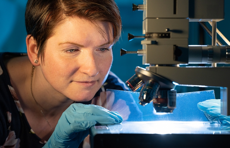 Barrier foils protect organic light-emitting diodes (OLEDs), solar cells, and circuits against water vapor ingress that impact device lifetime. In combination with an artificial intelligence model, a hyperspectral imaging technique developed in Germany promises to dramatically speed up the inspection of those films and streamline industrial production. Image: &copy; ronaldbonss.com/Fraunhofer IWS.