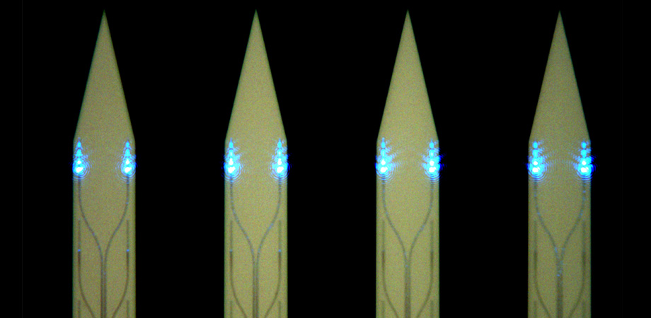 Optical microscope image of the implantable shanks, with 141-micron pitch, of a light sheet neural probe. Light is emitted by nanophotonic gratings on the shanks to form light sheets. Credit: Caltech/Nanophotonics.