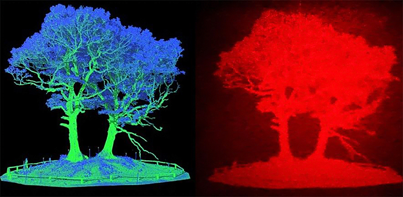 Tremendous:Scanned LiDAR data are converted into 3D holographic objects. Image courtesy of the researchers.