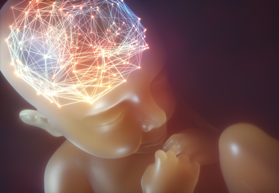 The TinyBrian project's photonics scanner could help early detection of brain damage in babies. Credit: ICFO/TinyBrains.