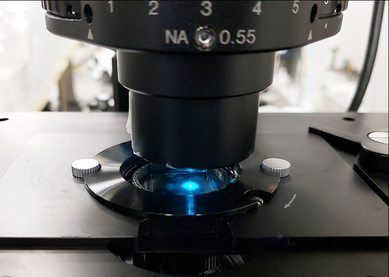 The light-shrinking material turns a conventional light microscope into a super-resolution microscope. Credit: Junxiang Zhao / UCSD.