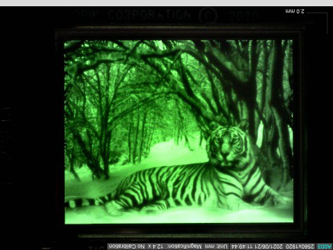 Kopin's 35,000-nit High Dynamic Range OLED is designed for displays in defense, medical, and consumer applications. Photo: Kopin / BusinessWire.