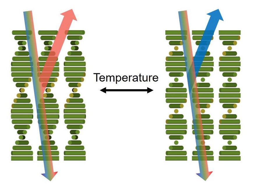 The phase structure and helical form of CLCs cause selective reflection of light at controllable wavelengths. Credit: TUE.