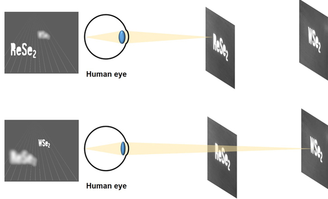 Schematic diagram of bio-application holograms. Credit: Korea Institute of Science and Technology.