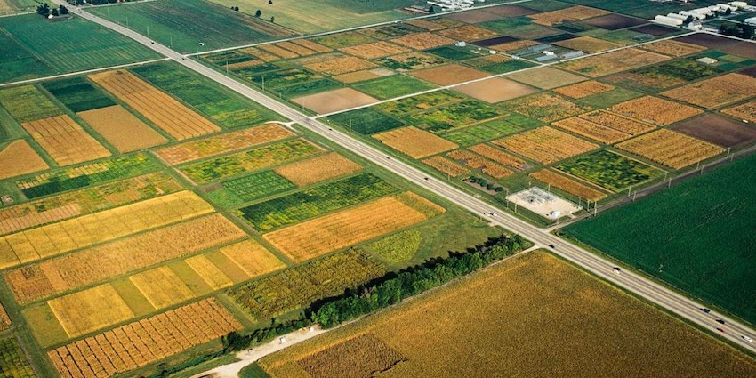 Hyperspectral sensors flown in small aircraft can provide data from which the nitrogen status of crops can be assessed. Credit: UIUC image.