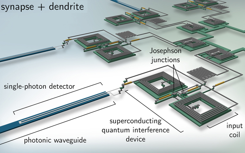 Artistic rendering of how superconducting circuits that mimic synapses might be used to create artificial optoelectronic neurons of the future.
Credit: J. Chiles and J. Shainline/NIST