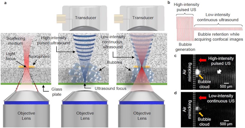 The principle of US-OCM for deep-tissue imaging. Credit: Nature Photonics.