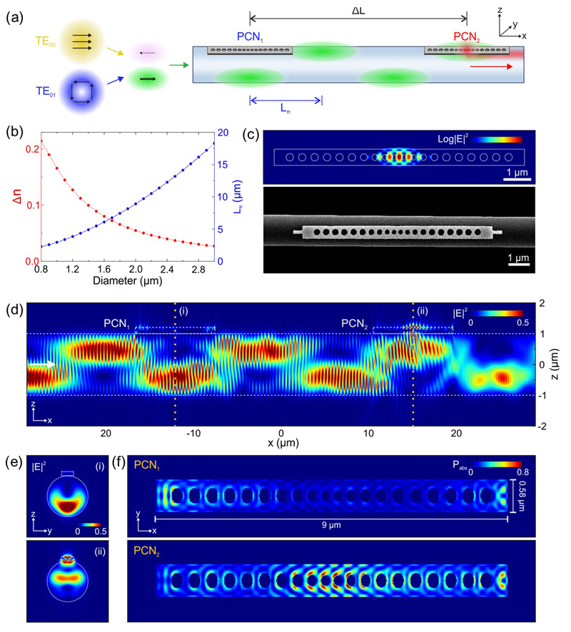 These simulation images show how the light interference pattern interacts with the nanolaser arrays. (a) Schematic of spatial interference between TE00 and TE01 modes along the microfiber. Here, two photonic crystal nanobeam lasers (PCN1 and PCN2) are attached to the surface of the microfiber in a line. (b) Difference in effective refractive index (&Delta;n) of TE00 and TE01 modes and corresponding half beat length (L&piv;), (c) Log |E|2 profile of PCN cavity mode in the xy-plane and SEM image of fabricated InGaAsP PCN laser. (d, e) |E|2 profiles of the pump beam in the xz- and yz-planes, respectively, where the beam propagates from left to right. (f) Absorbed power density profiles along the xy-plane at the vertical center of PCNs. Credit: Korea University.