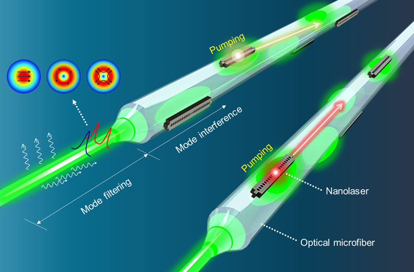 Researchers have developed a new all-optical method for driving multiple high density nanolaser arrays using light traveling down a single optical fiber. The optical driver creates programmable patterns of light via interference. Credit: Myung-Ki Kim, Korea University.