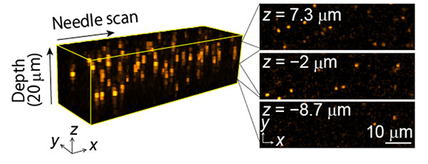 Video-rate acquisition of 1 &mu;m fluorescence bead suspended in water. The 3D region with a depth range of 20 &mu;m was repeatedly recorded by 2D scanning of a light needle with a rate of 31Hz. &copy; Yuichi Kozawa et al.