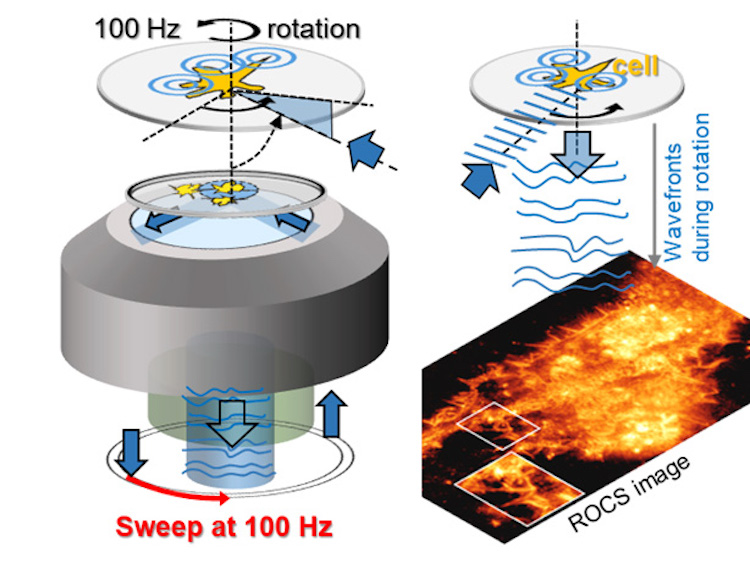 Blue laser beams rotate around the object 100 times per second (left). The light waves scattered at the cell structures generate 100 super-resolved images per second. Within a 10ms rotation (0-360 degrees), continuously deformed light waves produce the razor-sharp image of a cell purely from scattered laser light, as shown in the photo below. Credit: Alexander Rohrbach.