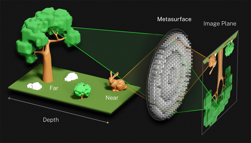 Illustration of how the metalens modeled on the compound lens of a trilobite simultaneously focuses object both near (rabbit) and far (tree). Credit: S. Kelley/NIST.